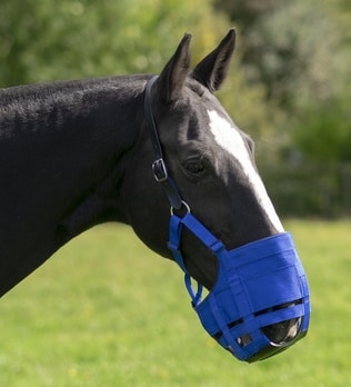 Graasmasker paard